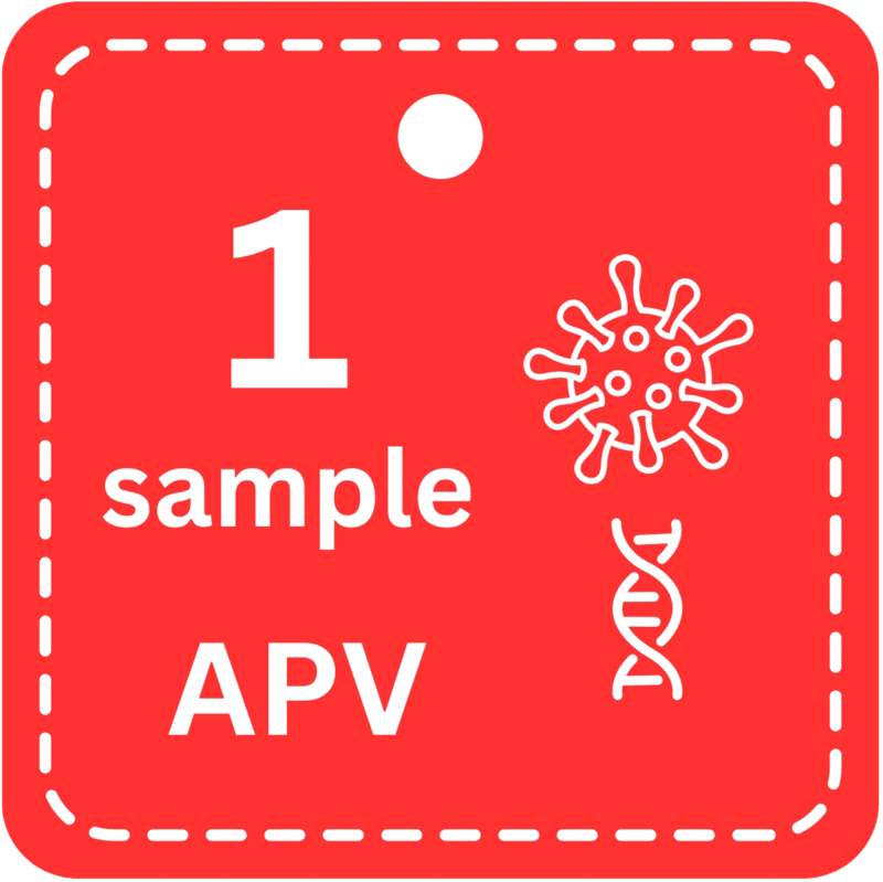 1 Sample APV PCR