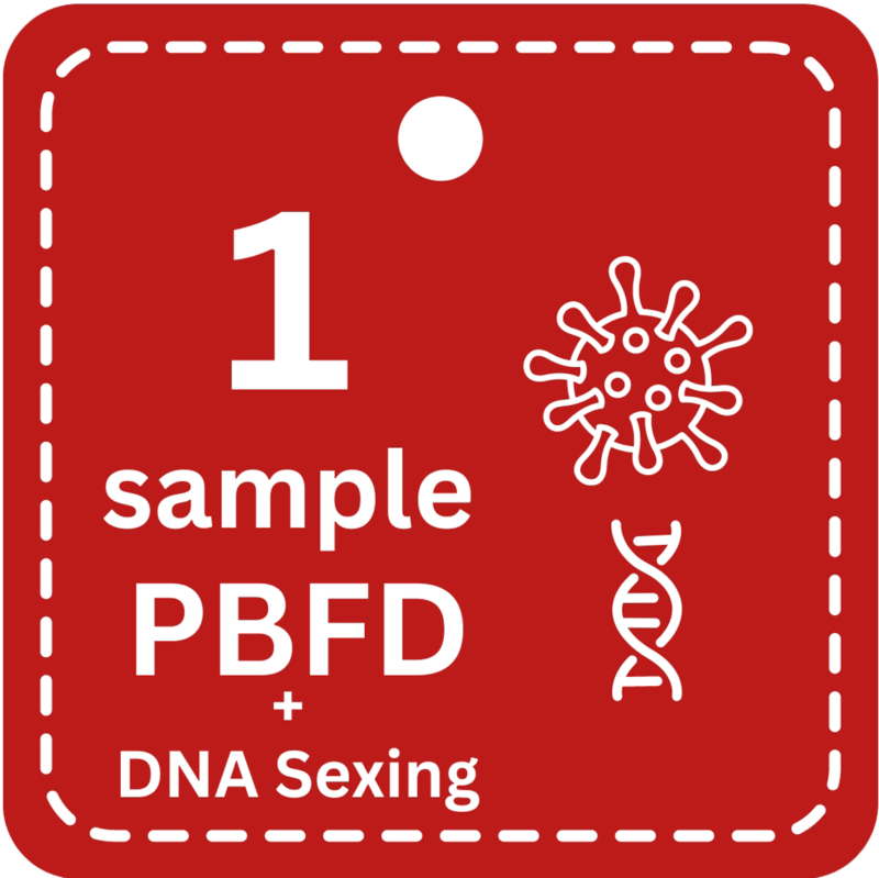 1 Sample PBFD PCR + DNA Sexing