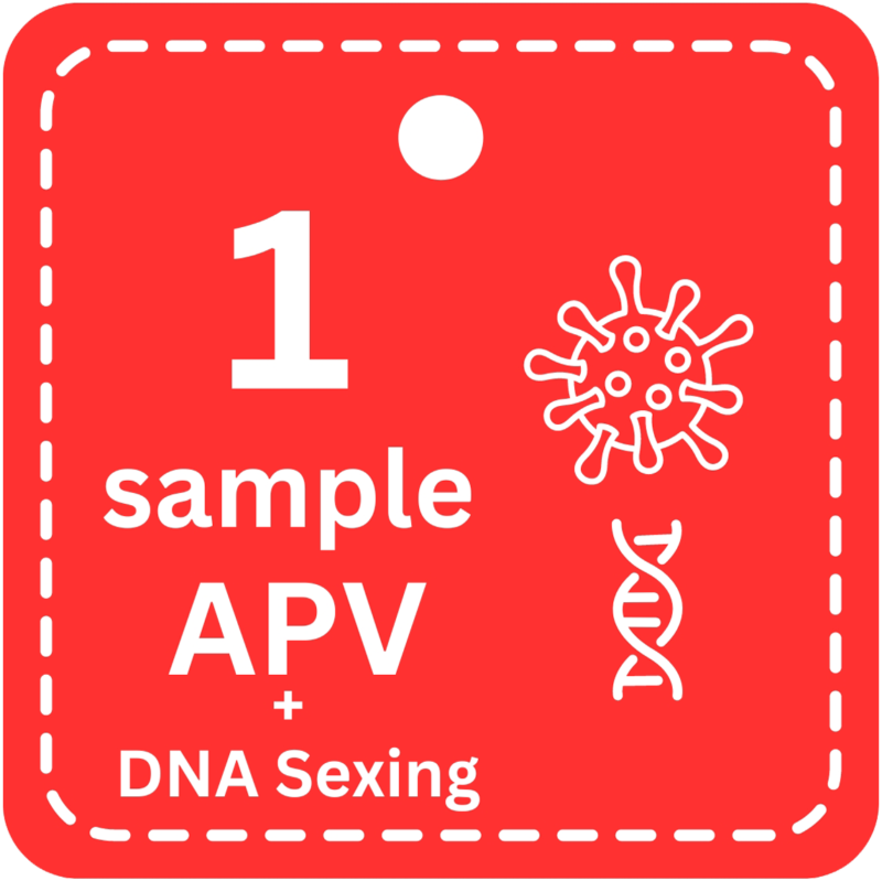 1 Sample APV PCR + DNA Sexing