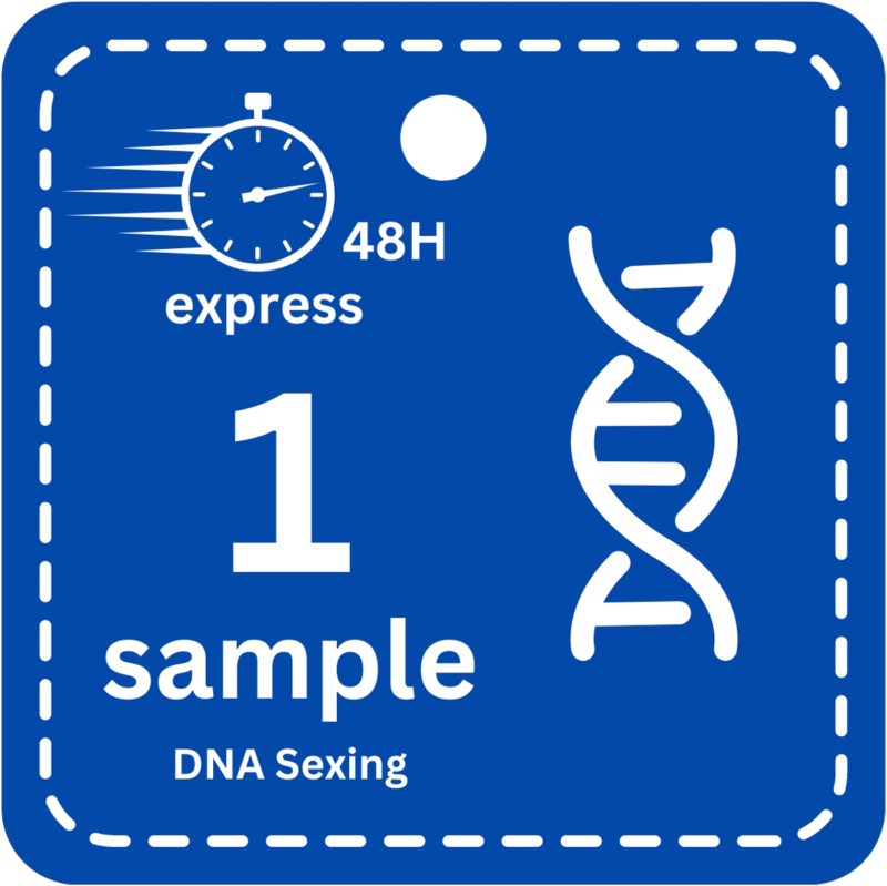 1 Sample (Express -48H) DNA Bird Sexing