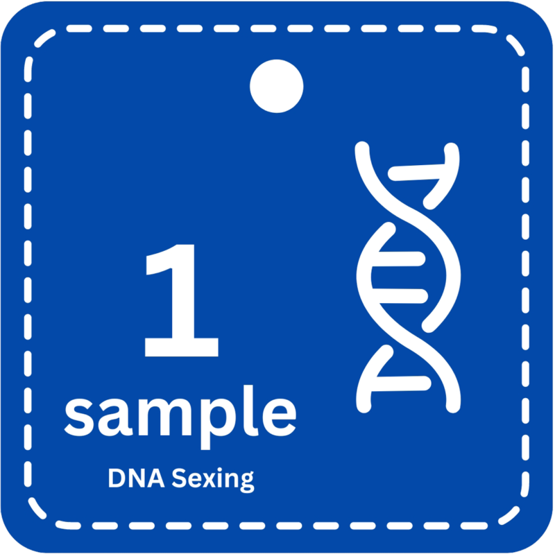 1 Sample  DNA Bird Sexing