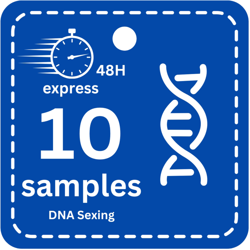 10 Samples (Express -48H) DNA Bird Sexing