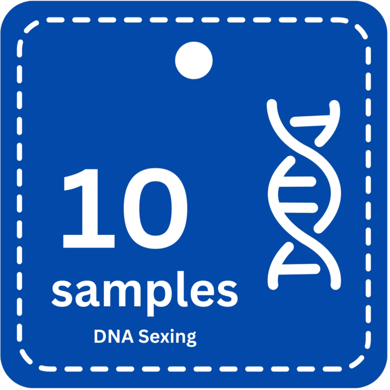 10 Samples DNA Bird Sexing