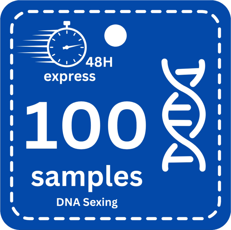 100 Samples (Express -48H) DNA Bird Sexing