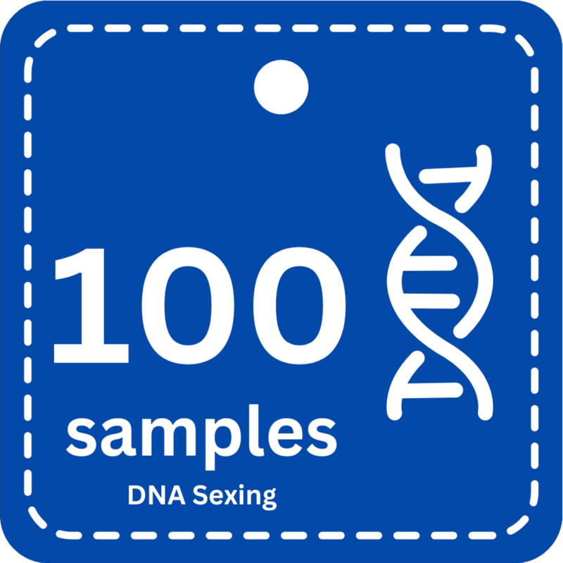 100 Samples DNA Bird Sexing