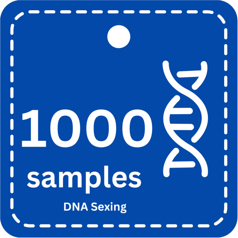 1000 Samples DNA Bird Sexing