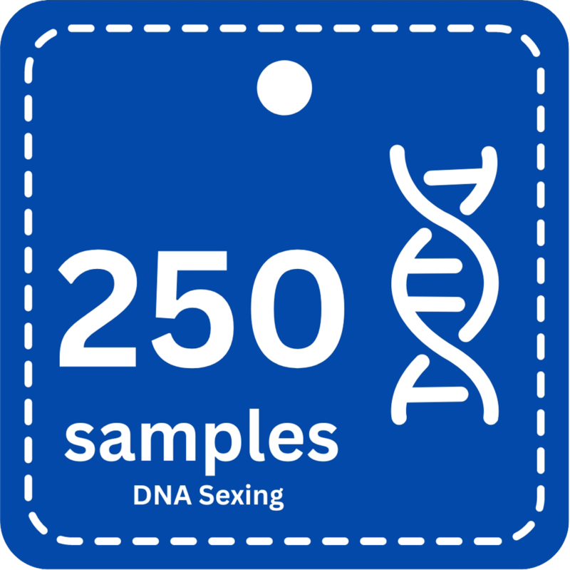 250 Samples DNA Bird Sexing