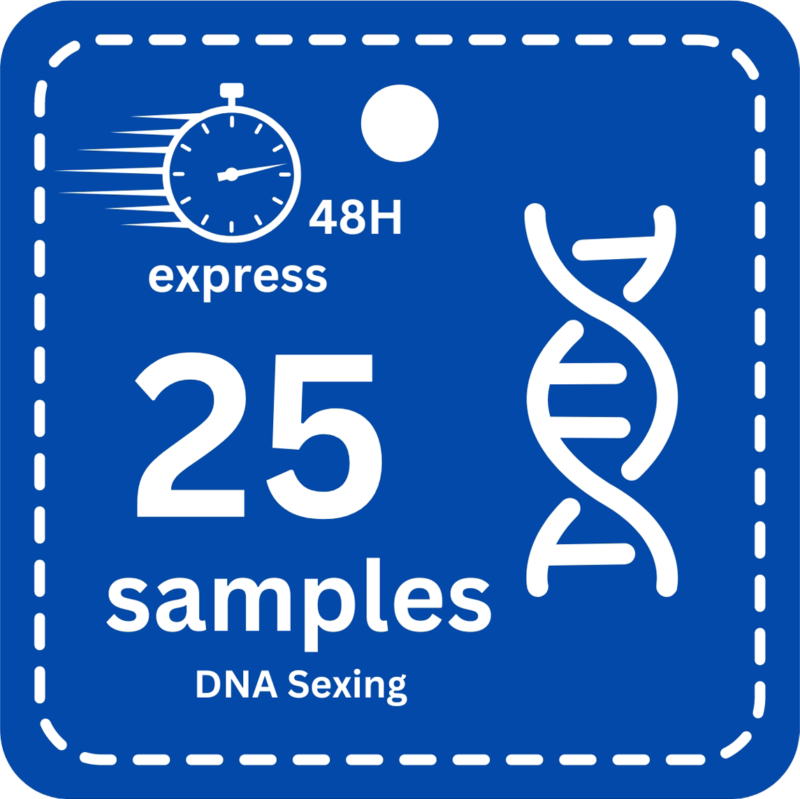 25 Samples (Express -48H) DNA Bird Sexing