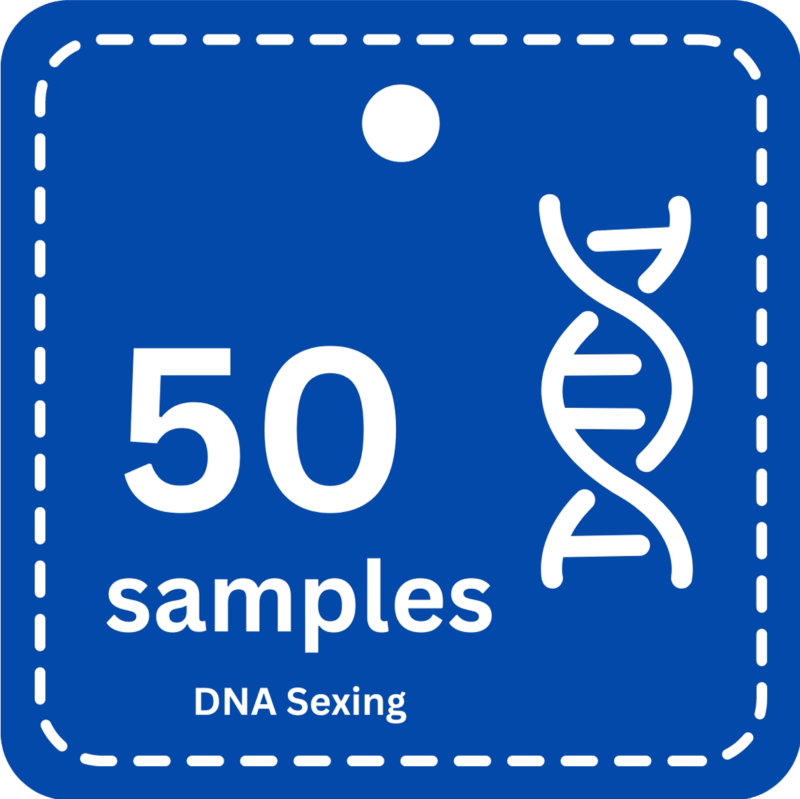 50 Samples DNA Bird Sexing