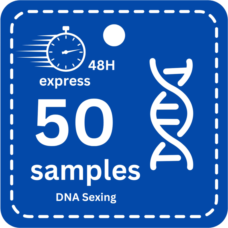 50 Samples (Express -48H) DNA Bird Sexing