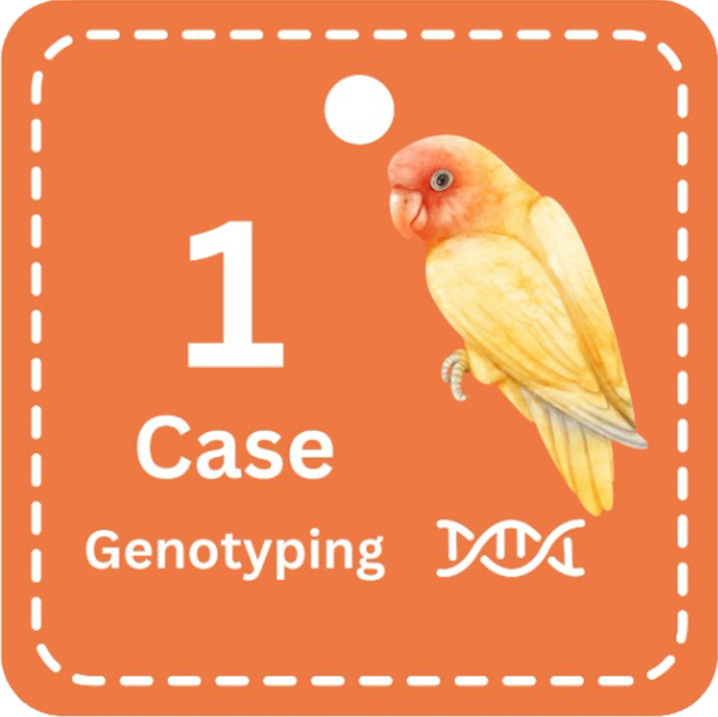 1 Genotyping Case